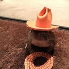 lamaR