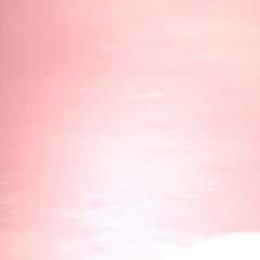 Rich Walker Fan Club