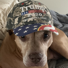 conner jake
