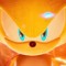SonicAllForms