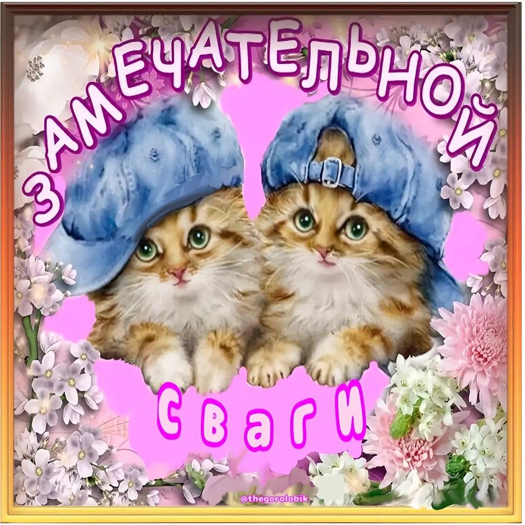 мне звонит свег