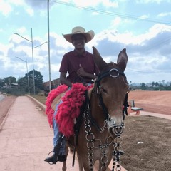Pedro Henrik De Souza Brandao