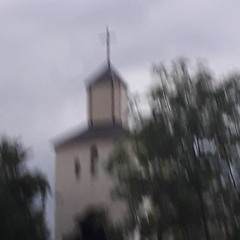 renin