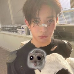 wonderhoys_