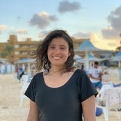 Nourhan G. ElMeniawy