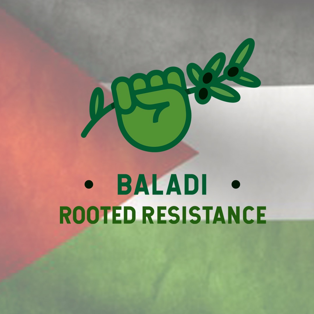 Baladi Resistance