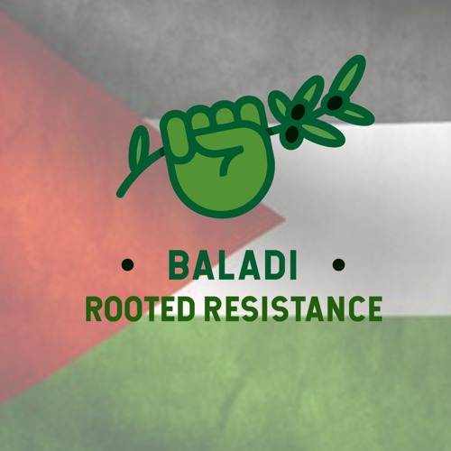 Baladi Resistance’s avatar