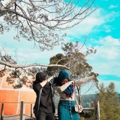 Mellaniya Agustiyani