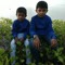 naanee