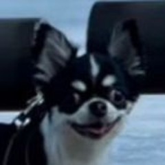 にんじゃ しらす