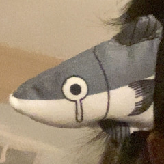 ⋆ ꙳ₓ 📧⊹꙳🖇️💭˖꙳◦