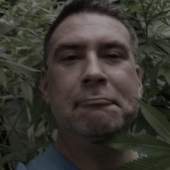 Ray Lucas