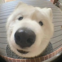 주 녁