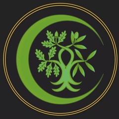 ALONSO VIDA AGUILAR 🌱🔺⚖️