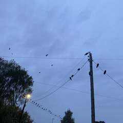 nocturne electronics