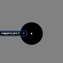 Report Record