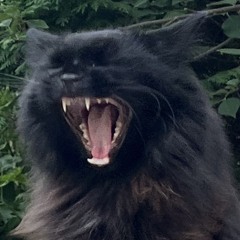 Brovack