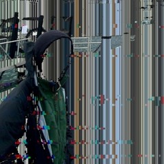 Digital Forrest