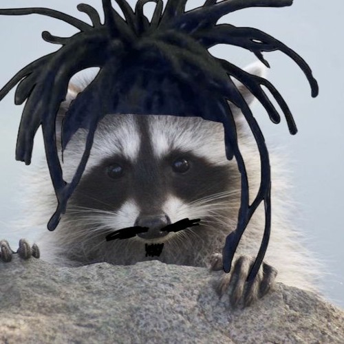 Stream Lil Raccoon Never Broke Again music | Listen to songs, albums ...