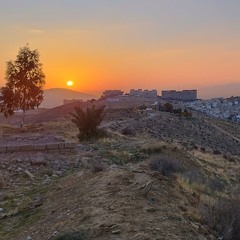 Alirezazmn