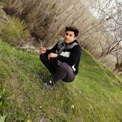 vahid1373