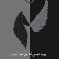 Yoyo Hesham Fadel