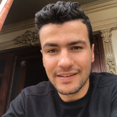 Mohamed H Elsaygh