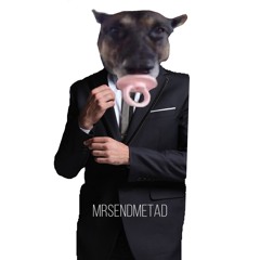 Mrsendmetad