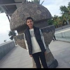 Omar Elshwadfy Abdelaziz