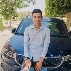 Mohamed A Abdelhadi