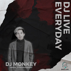 DJ MONKEY