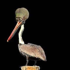 Pelican Alien (Jarones)