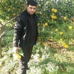 جمال حطاب