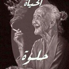 مصطفى على