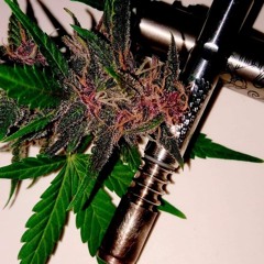 420_bboyson
