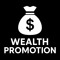 wealth_promotion_expert