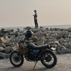 Đầu Rêu