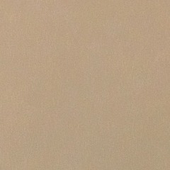 Youtwerp (@youtwerp_)