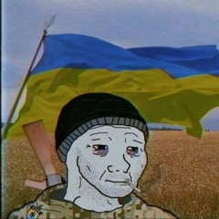 Влад железко