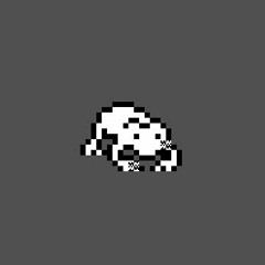 C.S. Frog