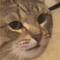 qunt