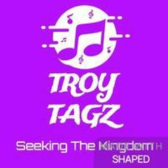 Troy Tagz