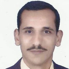 mohamed mostafa mabrook