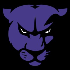 Panther Beats