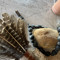 Thunderbird Orenda