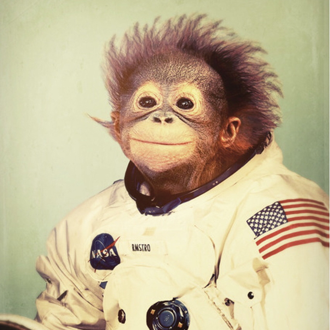洋楽 the space monkeys/Keep On Tripping On SPACE MONKEYS, THE (ザ・スペース・モンキーズ) - Keep On