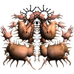oe2