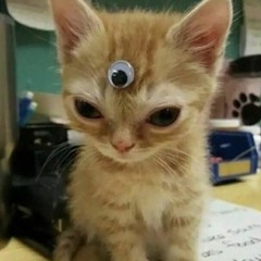 HoshiLynx