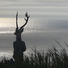 Raik Berg