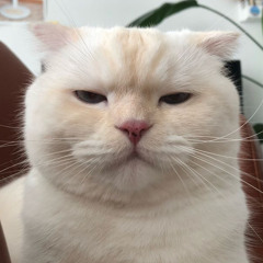우